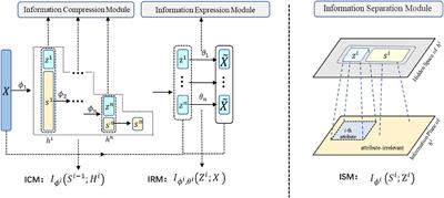 Unsupervised layer-wise feature extraction algorithm for surface electromyography based on information theory